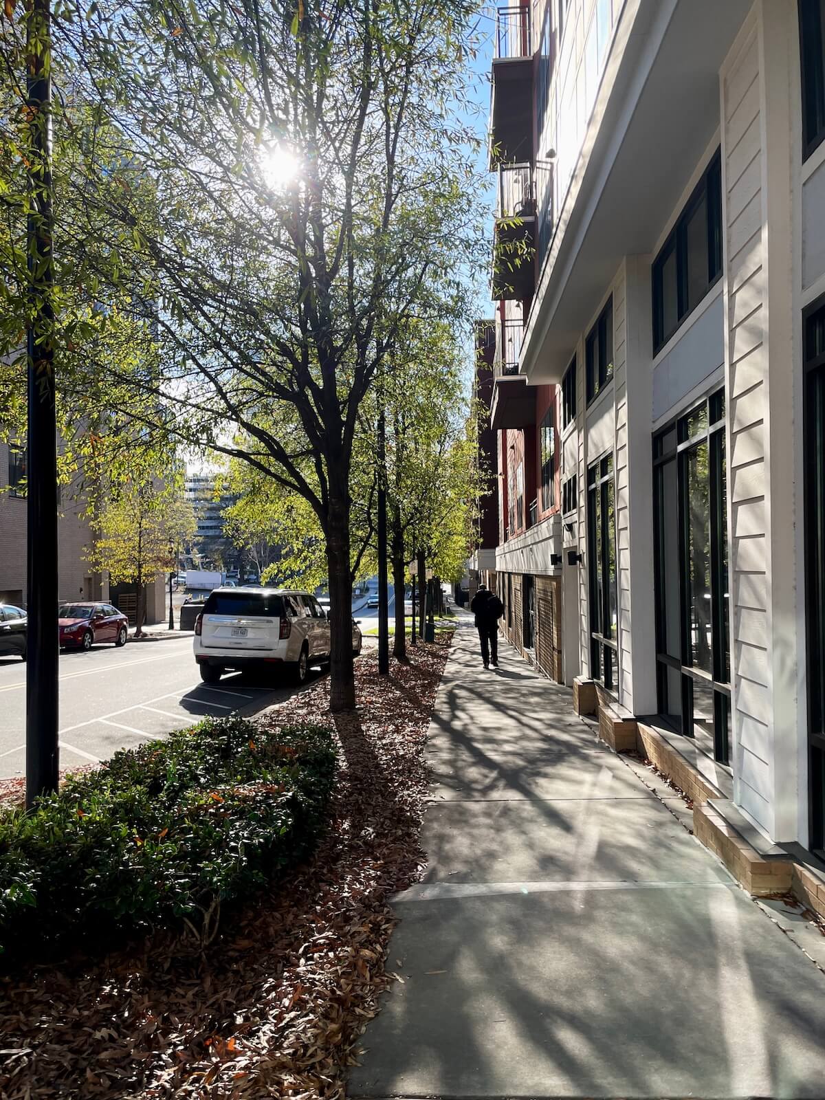 Uptown Charlotte apartments